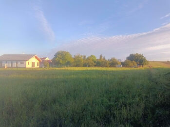 Prodej pozemku 905 m², Lutopecny