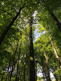 Prodej ubytovacího zařízení 20000 m², Vsetín