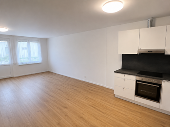 Pronájem bytu 1+kk v osobním vlastnictví 54 m², Lavičky