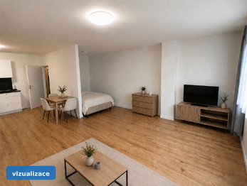 Pronájem bytu 1+kk v osobním vlastnictví 54 m², Lavičky