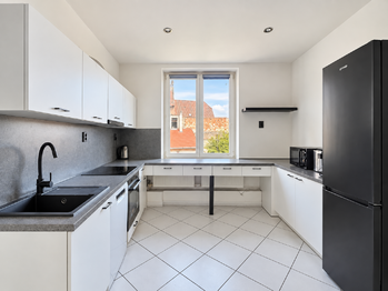 Prodej domu 407 m², Údlice