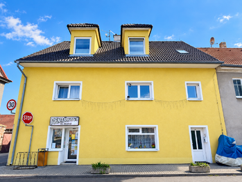 Prodej domu 407 m², Údlice