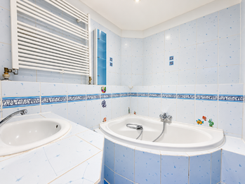 Prodej domu 407 m², Údlice