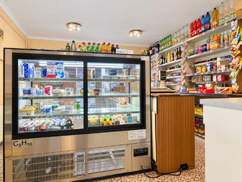 Prodej domu 407 m², Údlice