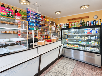 Prodej domu 407 m², Údlice