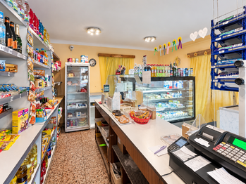Prodej domu 407 m², Údlice