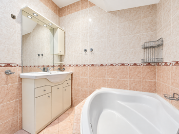 Prodej domu 407 m², Údlice
