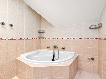 Prodej domu 407 m², Údlice