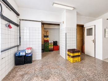 Prodej domu 407 m², Údlice