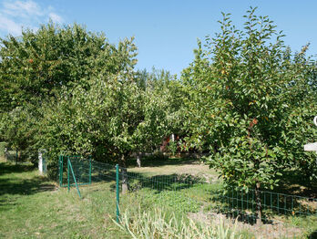 Prodej pozemku 473 m², Horoměřice