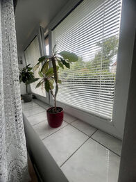 Prodej domu 90 m², Rosice