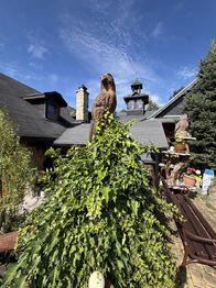 Prodej domu 830 m², Prostřední Bečva