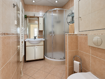 Pronájem bytu 3+1 v osobním vlastnictví 63 m², Plzeň