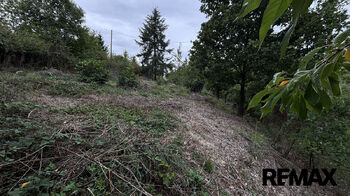 Stavební pozemek pro rodinnou rekreaci Hamry, Plumlov - Prodej pozemku 1335 m², Plumlov