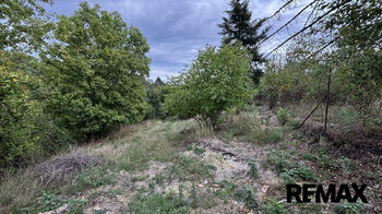 Stavební pozemek pro rodinnou rekreaci Hamry, Plumlov - Prodej pozemku 1335 m², Plumlov