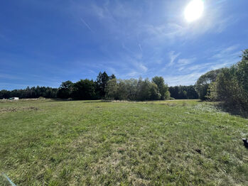 Prodej pozemku 6590 m², Písek