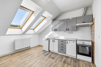 Pronájem bytu 1+1 v osobním vlastnictví 46 m², Mladá Boleslav
