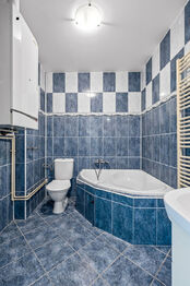 Pronájem bytu 1+1 v osobním vlastnictví 46 m², Mladá Boleslav