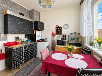 Prodej bytu 1+1 v osobním vlastnictví 42 m², Chomutov
