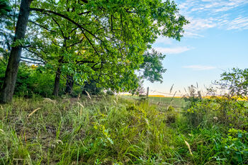 Prodej pozemku 1262 m², Albrechtice nad Vltavou