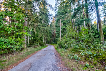 Prodej pozemku 1262 m², Albrechtice nad Vltavou