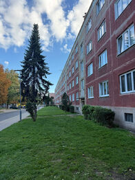 Prodej bytu 2+1 v osobním vlastnictví 55 m², Bílina