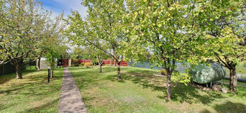 Zahrada s ovocnými stromy - Prodej domu 92 m², Moravské Málkovice