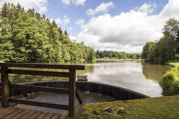rybník s přepadem - Prodej ubytovacího zařízení 550 m², Strmilov