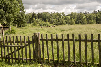 pastvina - Prodej ubytovacího zařízení 550 m², Strmilov