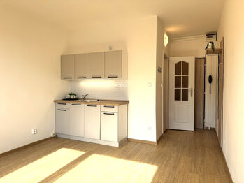 Prodej bytu 1+kk v osobním vlastnictví 21 m², Ústí nad Labem