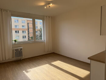 Prodej bytu 1+kk v osobním vlastnictví 21 m², Ústí nad Labem