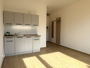 Prodej bytu 1+kk v osobním vlastnictví 21 m², Ústí nad Labem