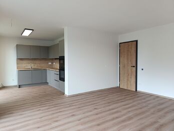 Pronájem bytu 3+kk v osobním vlastnictví 72 m², Bystřany