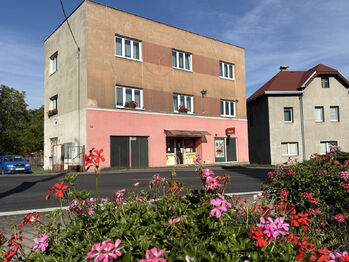 Prodej obchodních prostor, Jílové