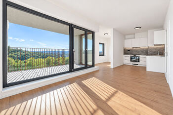 Pronájem bytu 1+kk, Brno - Pronájem bytu 1+kk v osobním vlastnictví 34 m², Brno 