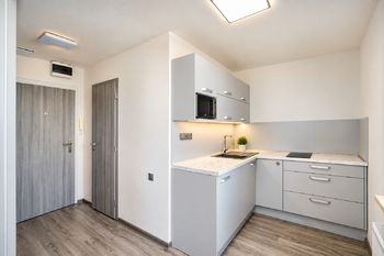 Pronájem bytu 1+1 v osobním vlastnictví 29 m², Karviná