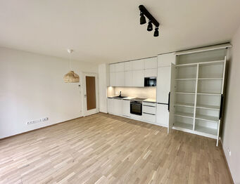 Pronájem bytu 1+kk v osobním vlastnictví 39 m², Praha 4 - Hodkovičky