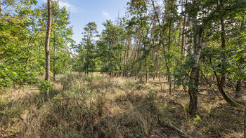 Prodej pozemku 38473 m², Mokrovraty