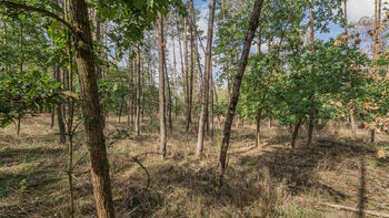 Prodej pozemku 38473 m², Mokrovraty