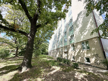 Prodej bytu 1+1 v osobním vlastnictví 42 m², Praha 10 - Vršovice