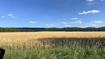 Prodej pozemku 981 m², Nesvačily