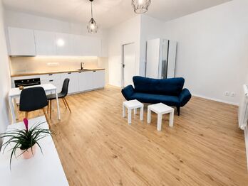 Pronájem bytu 1+kk v osobním vlastnictví 39 m², Praha 5 - Smíchov