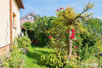 Vstup na zahradu od domu  - Prodej domu 90 m², Všetaty