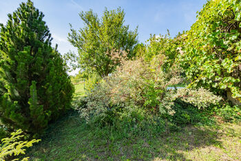 Zahrada - Prodej domu 90 m², Všetaty