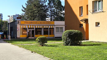 Prodej bytu 1+1 v osobním vlastnictví 44 m², České Budějovice