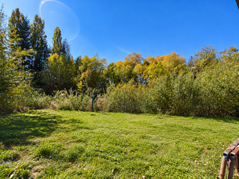 Prodej domu 235 m², Toužim