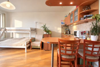 Prodej bytu 1+kk v osobním vlastnictví 35 m², Praha 10 - Strašnice