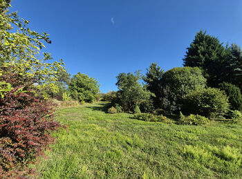 Prodej domu 330 m², Letovice