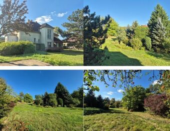 Prodej domu 330 m², Letovice