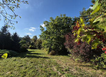 Prodej domu 330 m², Letovice